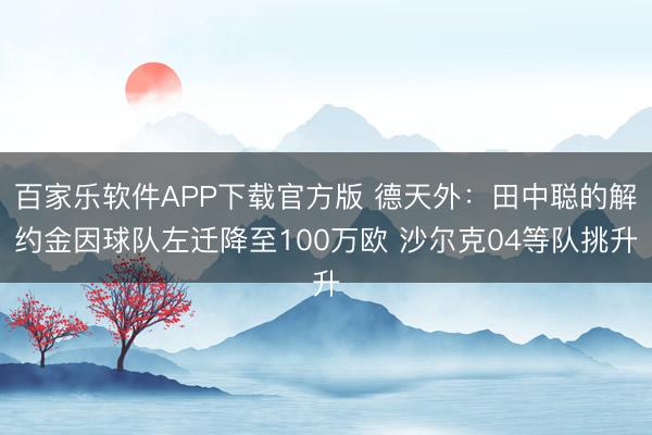 百家乐软件APP下载官方版 德天外:田中聪的解约金因球队左迁降至100万欧 沙尔克04等队挑升